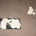 Asbesthaltige Kleber unter Florflexplatten in Buerogebaeude