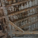Holzschutzmittel (Hylotox 59) mit DDT und Lindan im Dachstuhl eines Rathauses