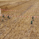 Tensiometer zur Messung der Wasserspannung im Boden